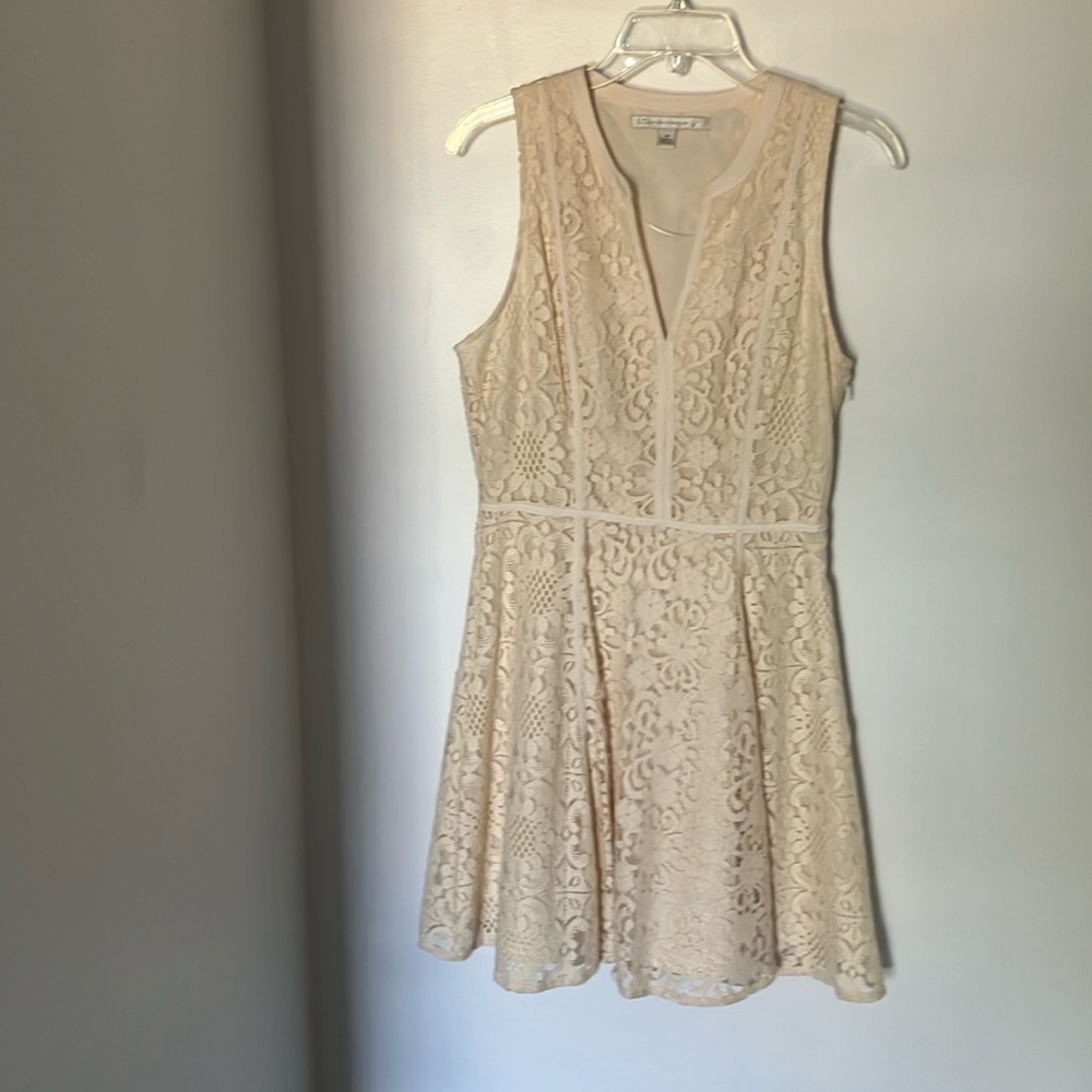 Sleeveless lace dress. Zipper on the side, sometimes gets stuck.
